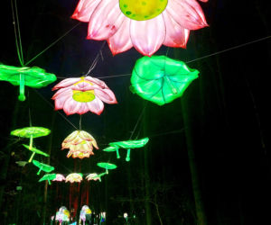 Lumina Park Bydgoszcz