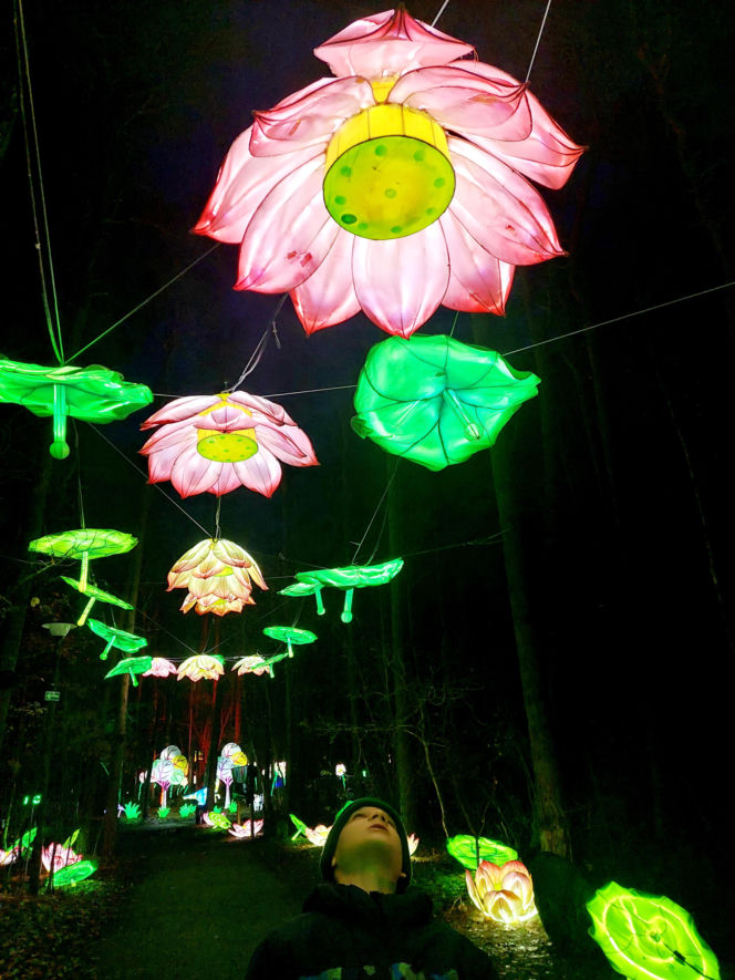 Lumina Park Bydgoszcz