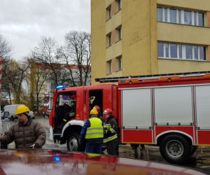 Złamane drzewo uszkodziło samochód na ul. Podhalańskiej w Szczecinie