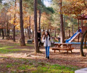 Miłość i nadzieja, odcinek 350. Ege, Zeynep