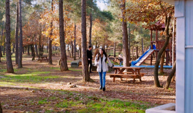 Miłość i nadzieja, odcinek 350. Ege, Zeynep