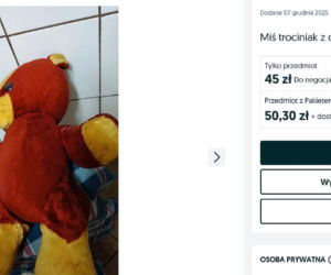 W PRL-u każde dziecko marzyło, aby znaleźć to pod choinką. Dziś za tę zabawkę można dostać krocie