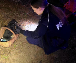 Tomasz wpadł do lodowatej wody. Uratował go szczeniak, którego kupił tego samego dnia