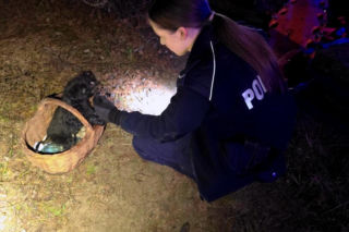 Tomasz wpadł do lodowatej wody. Uratował go szczeniak, którego kupił tego samego dnia