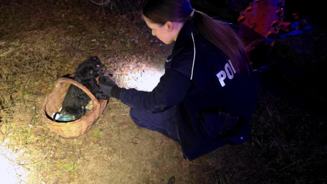 Tomasz wpadł do lodowatej wody. Uratował go szczeniak, którego kupił tego samego dnia