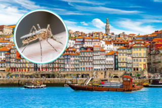 Groźna choroba wraca do Europy. Może prowadzić do paraliżu i śmierci