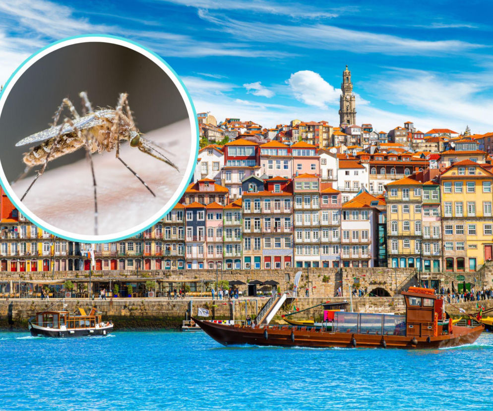 Groźna choroba wraca do Europy. Może prowadzić do paraliżu i śmierci