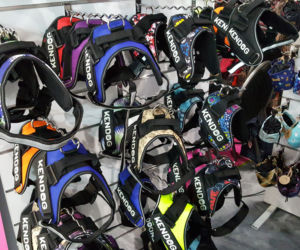 Targi PET EXPO 2019 w Bydgoszczy 