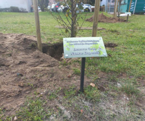 W młodym parku w Lesznie posadzono kolejne drzewa. Każde ma swoją tabliczkę