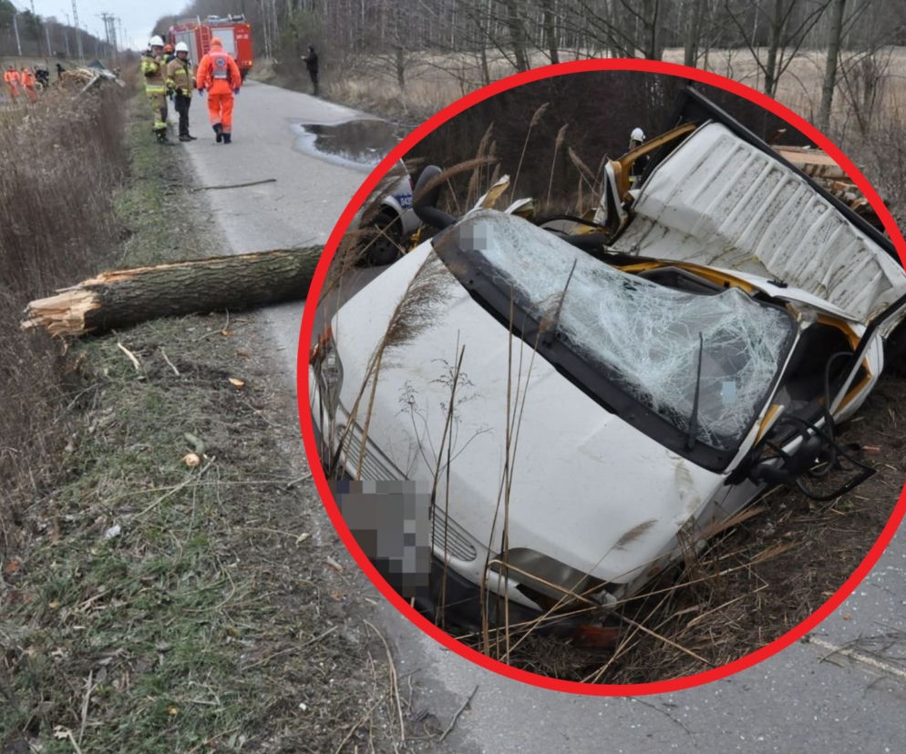 Drzewo zmiażdżyło samochód. Makabryczna śmierć w Międzyrzecu Podlaskim