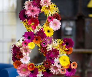 Gerbera