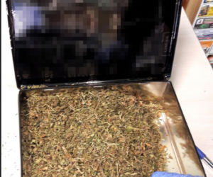 50-latek miał w domu istną plantację!