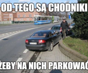 Zdania, których wrocławianie nigdy nie mówią