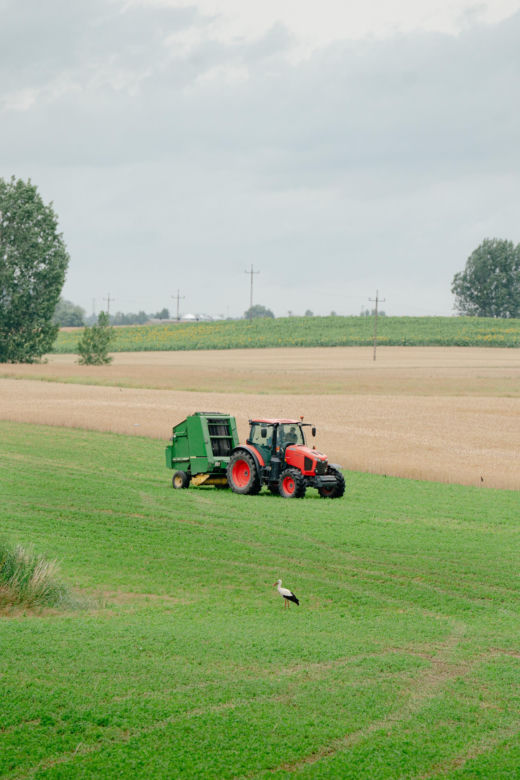 5. odcinek "Rolnik szuka żony"