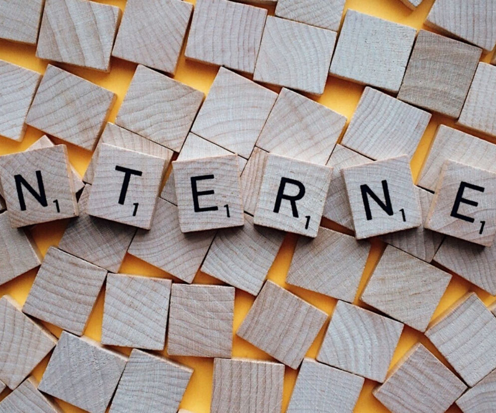 Najpopularniejsze BŁĘDY JĘZYKOWE w internecie 2021! Jak piszą Polacy? TO KOSZMAR!