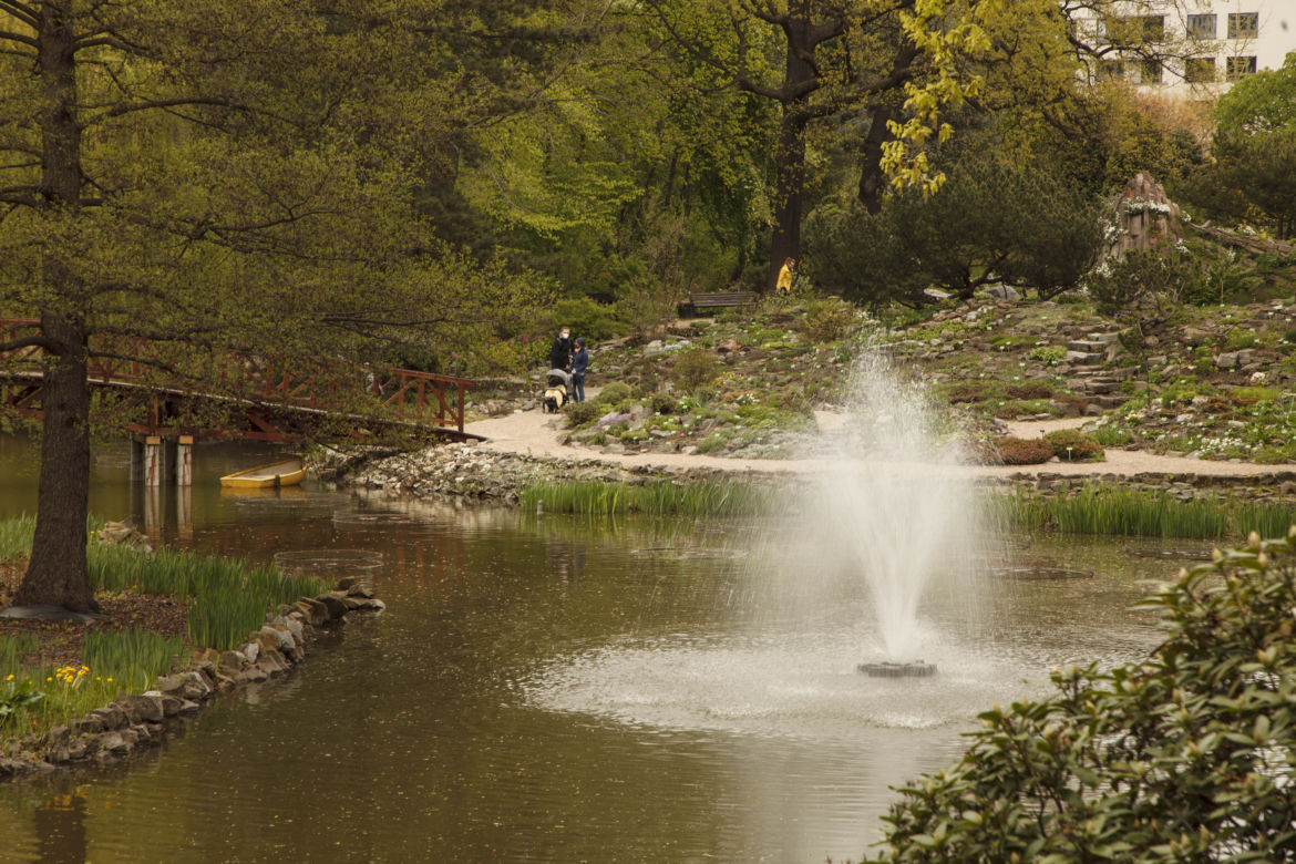 Dinozaury opanowały wrocławski ogród botaniczny