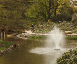 Dinozaury opanowały wrocławski ogród botaniczny