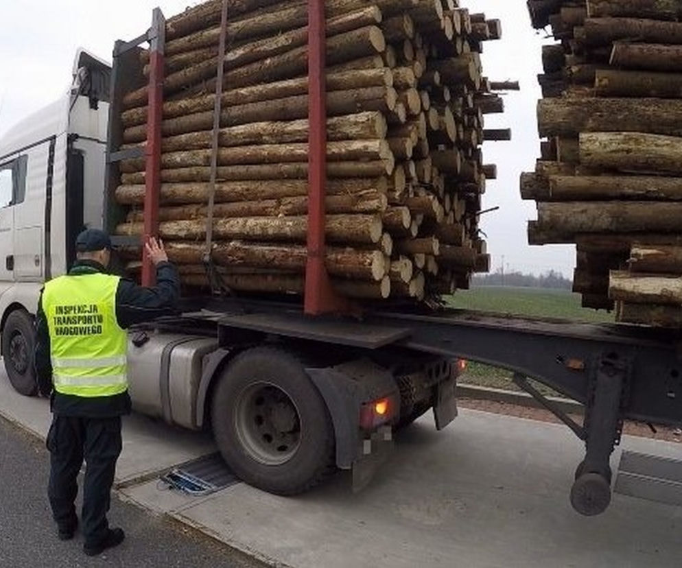 Wzmożone akcje na Opolu. Ciężarówki z nadmiarem drewna przyłapane przez Inspekcję Transportu Drogowego