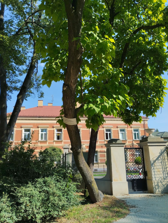 Pomniki przyrody w Parku Strzeleckim w Tarnowie