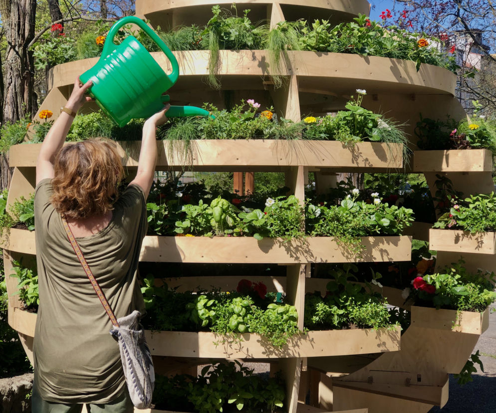 Growroom w Gdańsku. 