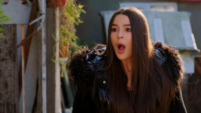 Miłość i nadzieja, odcinek 352. Zeynep