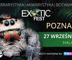 Exotic Fest Poznań 2026 – egzotyka, której trzeba doświadczyć na żywo!