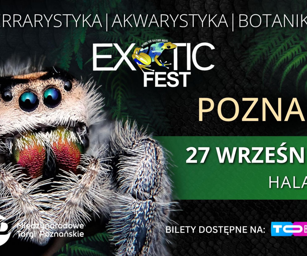 Zbliżenie na pająka skaczącego. Plakat zapowiada Exotic Fest Poznań 27 września. Więcej informacji na Eska Poznań.