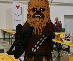 Falkon 2018 w Lublinie