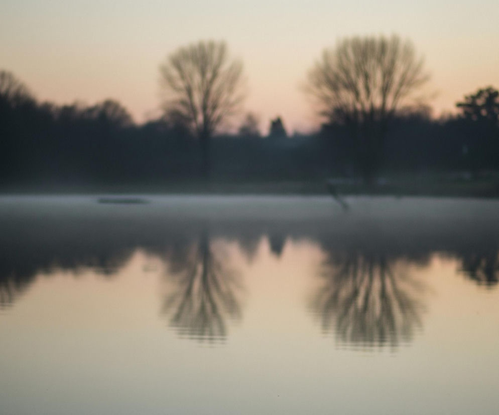 Rozmyty, panoramiczny obraz przedstawia spokojny krajobraz z linią drzew na horyzoncie, odbijającą się w wodzie. Niebo jest jasne, z delikatnymi odcieniami pomarańczu i różu, przechodzącymi w szarość ku górze. Sylwetki drzew są ciemne i rozmazane, z pojedynczymi, nagimi drzewami o wyraźniejszych koronach. Poniżej linii drzew, nad powierzchnią wody unosi się lekka mgła, a odbicia drzew na wodzie są zniekształcone i falujące. Całość obrazu jest utrzymana w stonowanych, pastelowych barwach, tworząc eteryczną atmosferę.
