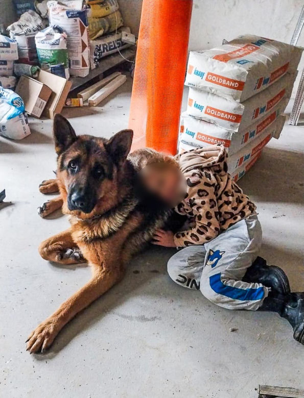 Ich życie zamieniło się w koszmar po interwencji „animalsów”. Zabrali im psa, ale to był dopiero początek