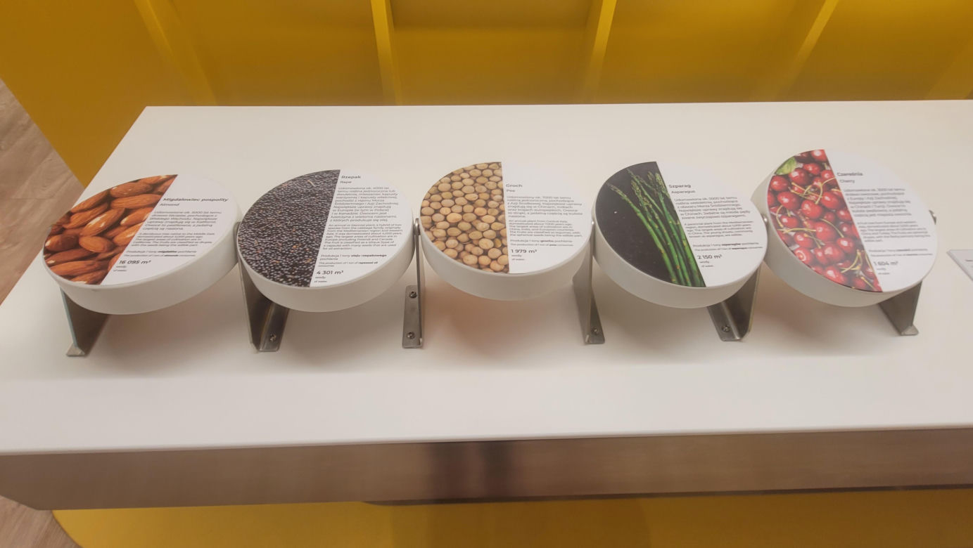 Wielkie otwarcie Centrum Nauki „Kortosfera”. „Jesteśmy dla wszystkich” [ZDJĘCIA]