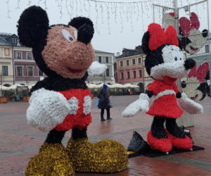 Bajkowa instalacja przed zamojski ratuszem