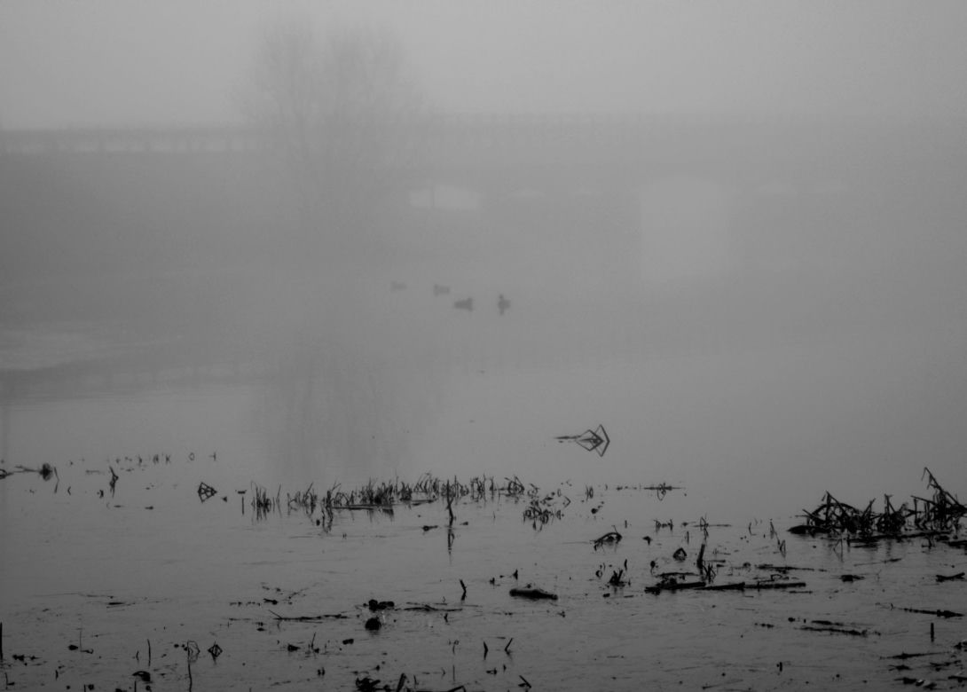 Fotografie Ewa Łuczywo Nowak