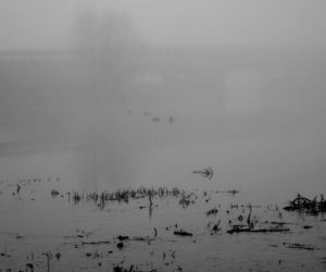 Fotografie Ewa Łuczywo Nowak