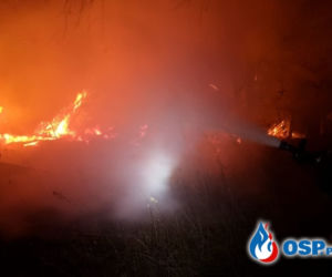 Obrazy jak z HORRORU! Drewniany budynek doszczętnie spłonął 