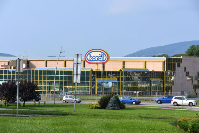 Niezwykła kariera braci Koral. Od kręcenia lodów w piwnicy do milionów