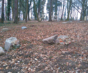 Wandale zniszczyli zabytkowy park