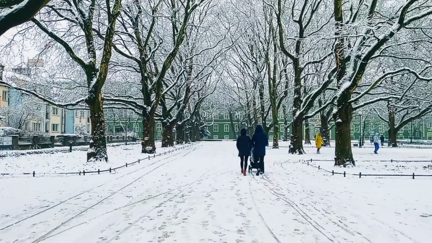 Pierwszy śnieg w Szczecinie