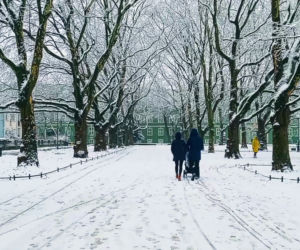 Pierwszy śnieg w Szczecinie