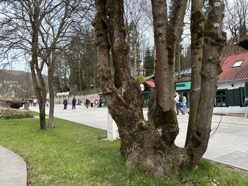 Krynica-Zdrój znów tętni życiem. Uzdrowisko przeżywa drugą młodość 