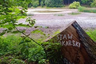 Wyschnięty Staw Wędkarski w Szczecinie