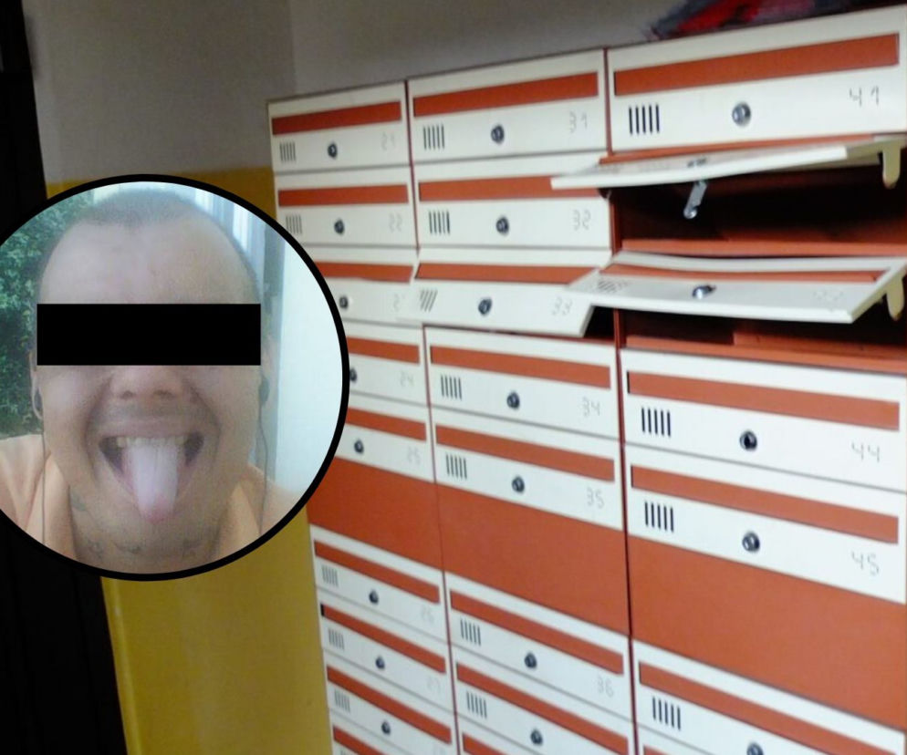 Okradał skrzynki pocztowe. BEZCZELNEGO złodzieja namierzył czujny lokator [ZDJĘCIA]