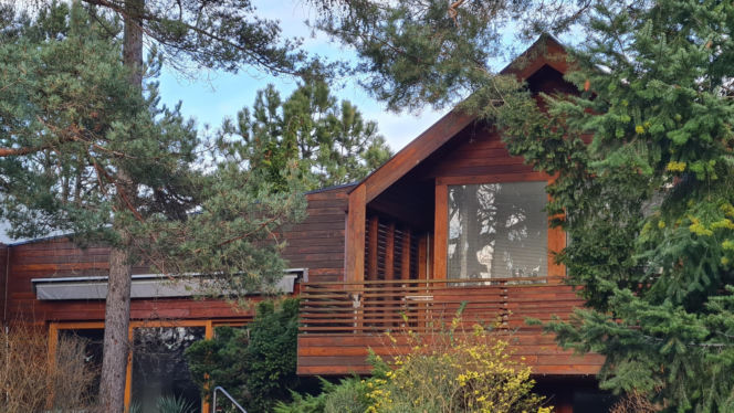 drewniany domek za drzewami