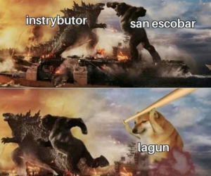 Krakowski lagun to prawdziwy FENOMEN! [MEMY]