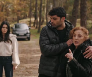 Złoty chłopak odcinek 281