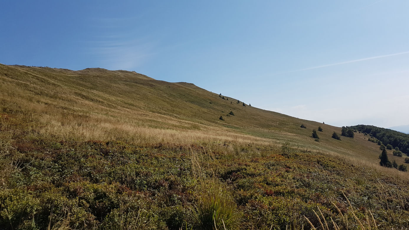 BIESZCZADY: Spory ruch na szlakach. Polacy chętnie wybierają na wypocznek podkarpackie góry [WIDEO, FOTO]	