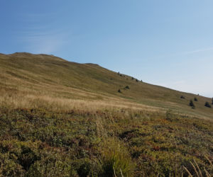 BIESZCZADY: Spory ruch na szlakach. Polacy chętnie wybierają na wypocznek podkarpackie góry [WIDEO, FOTO]	