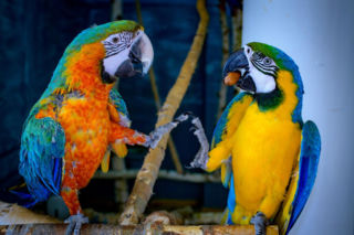 Majówka w Sabacie Krajno 2026