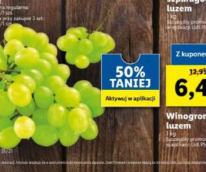 Dobre promocje w Lidlu