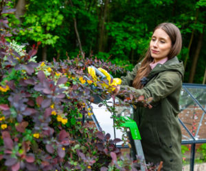 Murator Ogroduje, realizacje